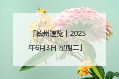 德州速览丨2025年6月3日 星期二