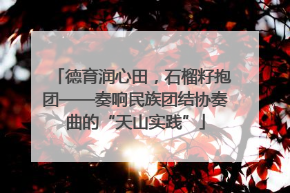 德育润心田，石榴籽抱团——奏响民族团结协奏曲的“天山实践”