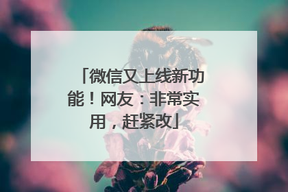 微信又上线新功能！网友：非常实用，赶紧改