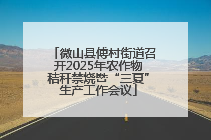 微山县傅村街道召开2025年农作物秸秆禁烧暨“三夏”生产工作会议