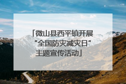 微山县西平镇开展“全国防灾减灾日”主题宣传活动