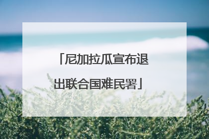 尼加拉瓜宣布退出联合国难民署