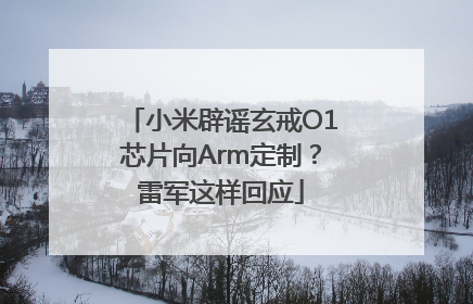 小米辟谣玄戒O1芯片向Arm定制？雷军这样回应