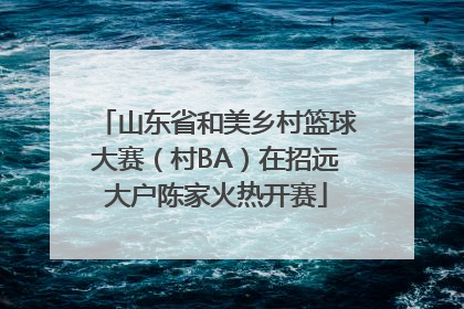 山东省和美乡村篮球大赛（村BA）在招远大户陈家火热开赛