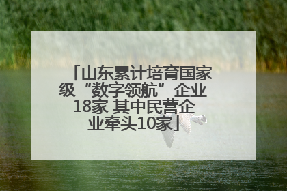 山东累计培育国家级“数字领航”企业18家 其中民营企业牵头10家