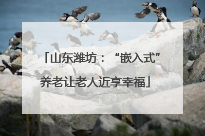 山东潍坊：“嵌入式”养老让老人近享幸福
