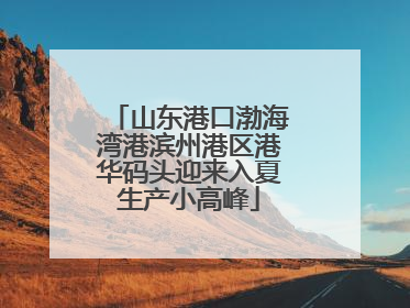 山东港口渤海湾港滨州港区港华码头迎来入夏生产小高峰