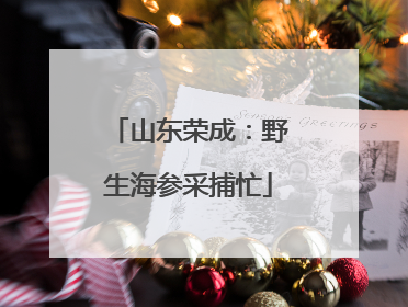 山东荣成：野生海参采捕忙
