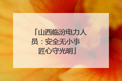 山西临汾电力人员：安全无小事 匠心守光明