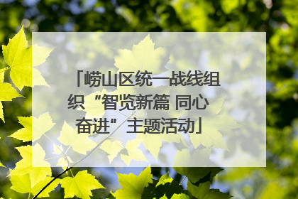 崂山区统一战线组织“智览新篇 同心奋进”主题活动