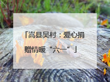 嵩县吴村：爱心捐赠情暖“六一”