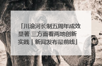 川渝河长制五周年成效显著 三方面看两地创新实践｜新闻发布最前线