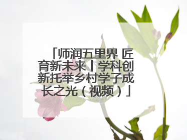师润五里界 匠育新未来丨学科创新托举乡村学子成长之光（视频）