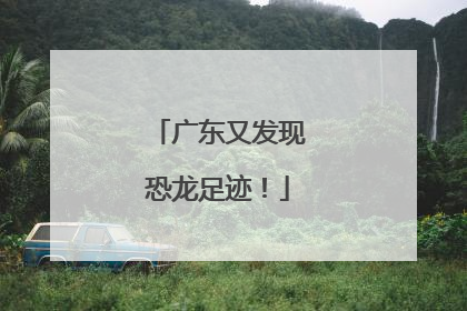 广东又发现恐龙足迹！