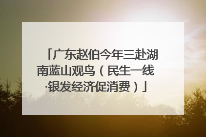 广东赵伯今年三赴湖南蓝山观鸟（民生一线·银发经济促消费）