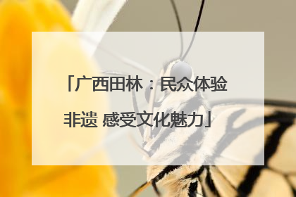 广西田林：民众体验非遗 感受文化魅力