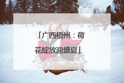 广西梧州：荷花绽放迎盛夏