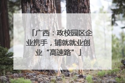 广西：政校园区企业携手，铺就就业创业“高速路”