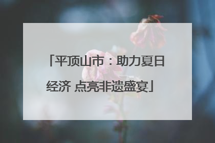 平顶山市：助力夏日经济 点亮非遗盛宴