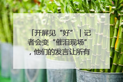 开屏见“好”｜记者会变“催泪现场”，他们的发言让所有人红了眼眶