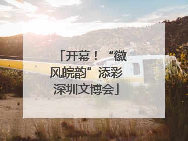 开幕！“徽风皖韵”添彩深圳文博会