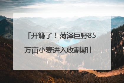 开镰了！菏泽巨野85万亩小麦进入收割期