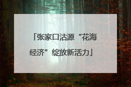 张家口沽源“花海经济”绽放新活力