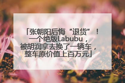 张朝阳后悔“退货”！一个绝版Labubu，被胡润拿去换了一辆车，整车原价值上百万元