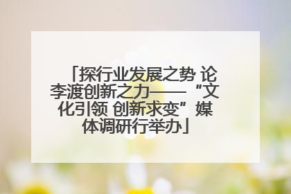 探行业发展之势 论李渡创新之力——“文化引领 创新求变”媒体调研行举办