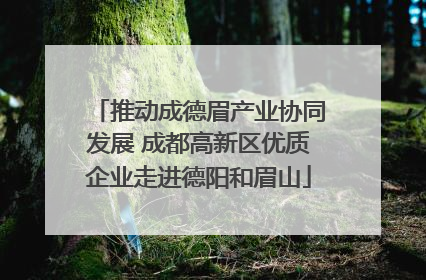 推动成德眉产业协同发展 成都高新区优质企业走进德阳和眉山