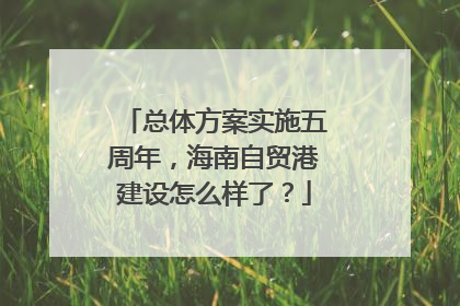 总体方案实施五周年，海南自贸港建设怎么样了？