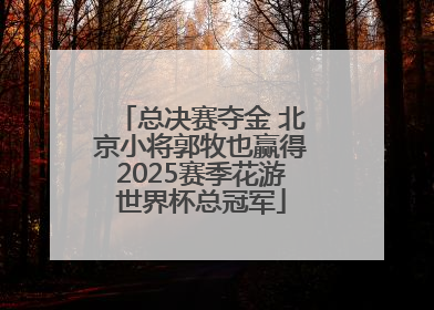 总决赛夺金 北京小将郭牧也赢得2025赛季花游世界杯总冠军