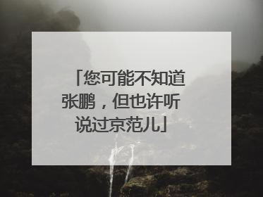 您可能不知道张鹏，但也许听说过京范儿