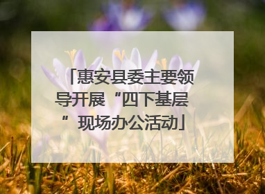 惠安县委主要领导开展“四下基层”现场办公活动