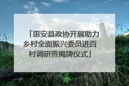 惠安县政协开展助力乡村全面振兴委员进百村调研暨揭牌仪式