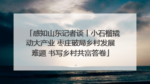 感知山东记者谈丨小石榴撬动大产业 枣庄破局乡村发展难题 书写乡村共富答卷