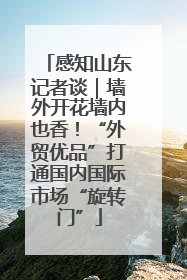 感知山东记者谈｜墙外开花墙内也香！“外贸优品”打通国内国际市场“旋转门”