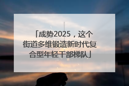 成势2025，这个街道多维锻造新时代复合型年轻干部梯队