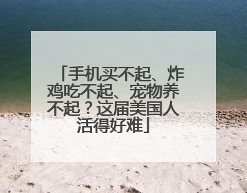 手机买不起、炸鸡吃不起、宠物养不起？这届美国人活得好难