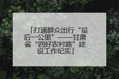 打通群众出行“最后一公里”——甘肃省“四好农村路”建设工作纪实
