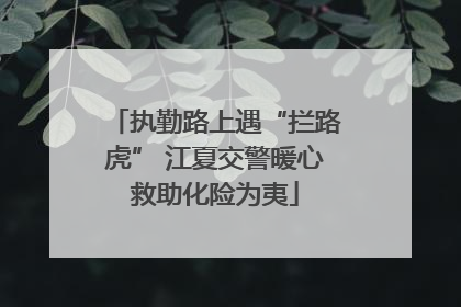 执勤路上遇“拦路虎” 江夏交警暖心救助化险为夷
