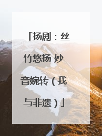 扬剧：丝竹悠扬 妙音婉转（我与非遗）