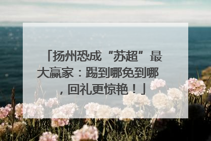 扬州恐成“苏超”最大赢家：踢到哪免到哪，回礼更惊艳！
