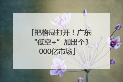 把格局打开！广东“低空+”加出个3000亿市场
