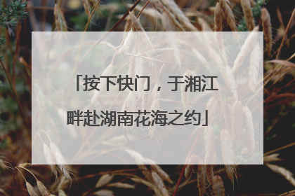 按下快门，于湘江畔赴湖南花海之约