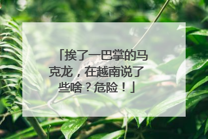 挨了一巴掌的马克龙，在越南说了些啥？危险！