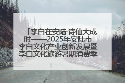 李白在安陆·诗仙大成时——2025年安陆市李白文化产业创新发展暨李白文化旅游暑期消费季活动在武汉启幕