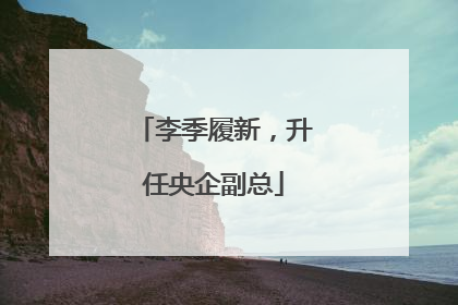李季履新，升任央企副总