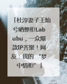 杜淳妻子王灿兮晒整柜Labubu，一众爆款IP齐聚！网友：我的 “梦中情柜”