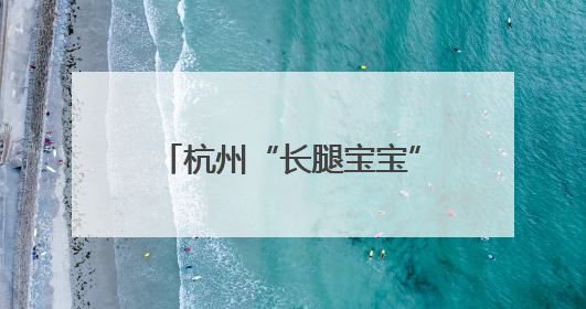 杭州“长腿宝宝”过节啦！世界长颈鹿日邂逅新生幼崽